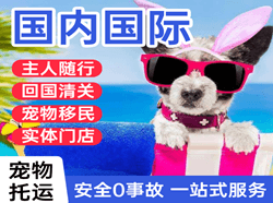 龙湾航空物流国际宠物托运 【国