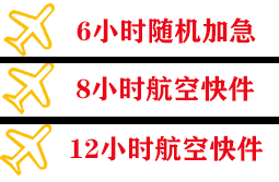龙湾航空物流快递公司,专业空运当天件